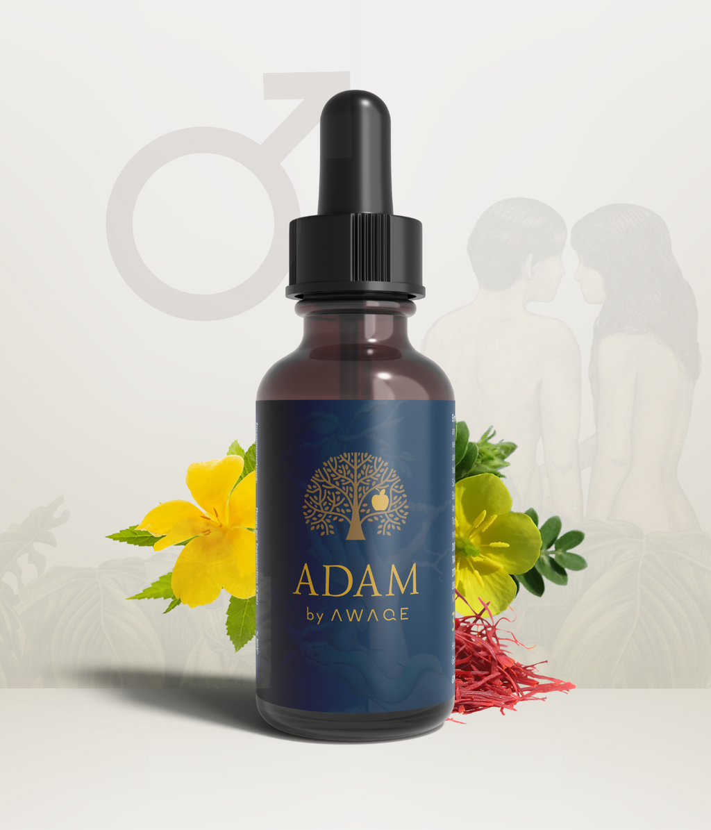 ADAM for him